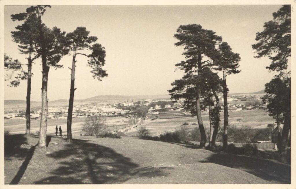 1mhki h 2031 917 widok na kielce z karczowki