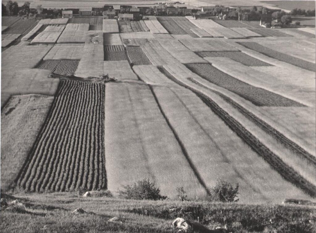 5krajobraz z polami fot s lipka