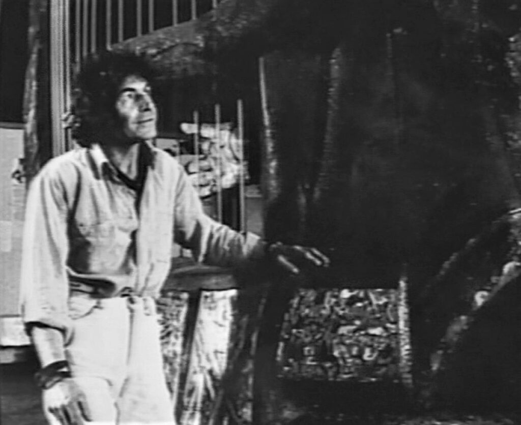 ryszard wojciechowski tworca biruty