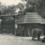 NOWY EKSPONAT: Fotografie z Kielc i okolic, autor: Józef Kłodawski, 2. poł. XX w. mhki pom 99 3