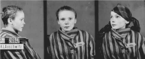 Narodowy Dzień Pamięci Ofiar Niemieckich Nazistowskich Obozów Koncentracyjnych i Obozów Zagłady 04 fotografia jednego z mpodocianych wieniow kl auschwitz