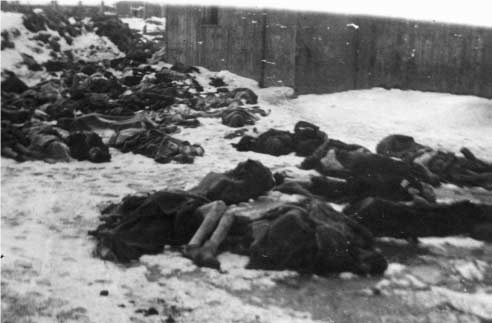 Narodowy Dzień Pamięci Ofiar Niemieckich Nazistowskich Obozów Koncentracyjnych i Obozów Zagłady 09