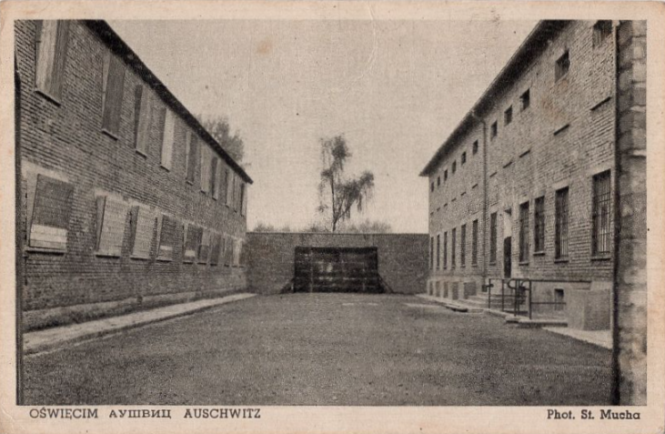 Międzynarodowy Dzień Pamięci o Ofiarach Holokaustu 5 rfd