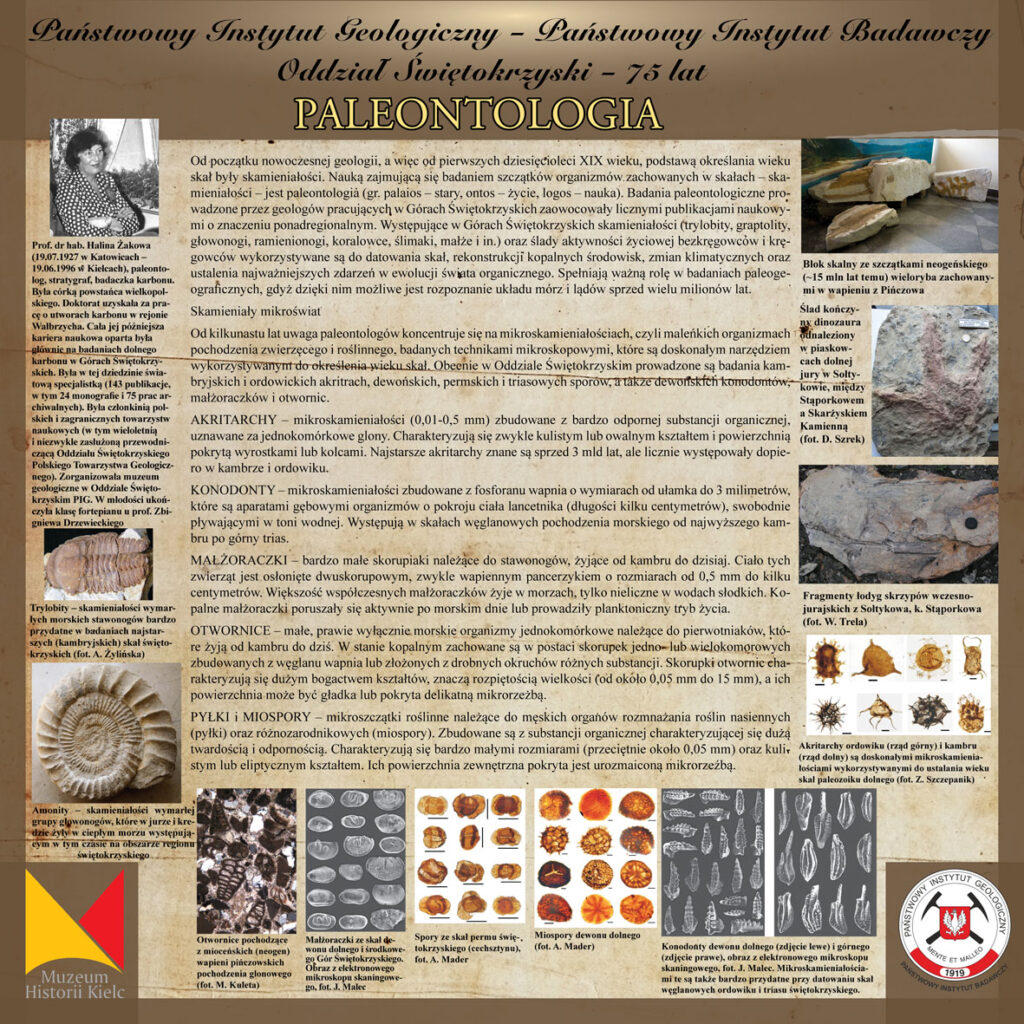 paleontologia